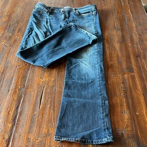 Joes Jeans size 31 Provocateur